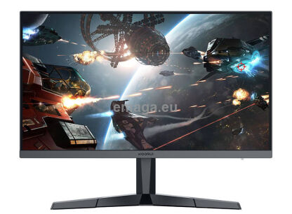Monitory