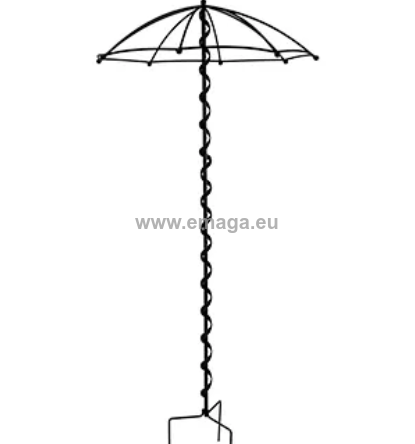 Kwietnik Parasolka