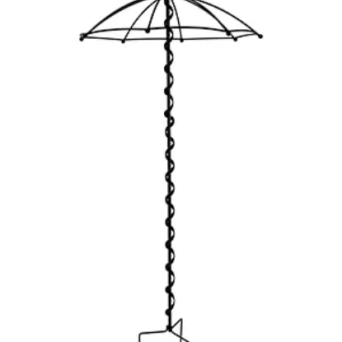 Kwietnik Parasolka