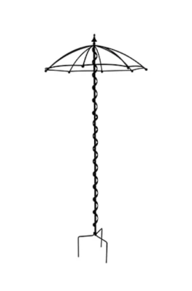 Kwietnik Parasolka
