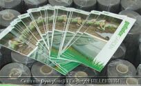 Geowłóknina 100g/m2 - Guttatex Garden 1m x 10mb  - 2