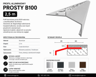 Profil aluminiowy balkonowy prosty B100 20mm 2,5m aluminium - 2