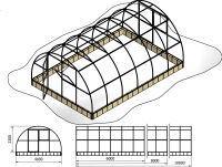 Szklarnia Primus 4x20m 80m2 H=230cm poliwęglan 4mm - 6