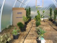 System nawadniania do tunelu / szklarni - 2x12mb 96 punktów nawadniania  - 5