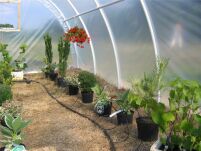 System nawadniania do tunelu / szklarni - 2x12mb 96 punktów nawadniania  - 4