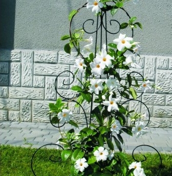 Podpora kwiatowa Wiolonczela 155X65 cm