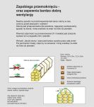 Filz do okrywania słomy 9,8x12,5 m zielony  - 3